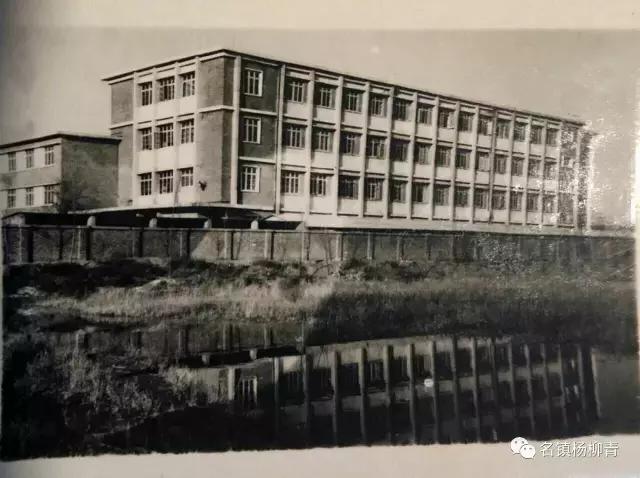 杨柳青三中的记忆,记忆中的杨柳青