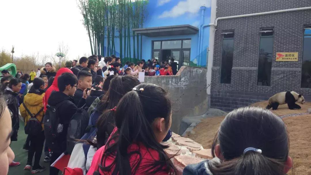 活动锦集|你在点金的每一个点滴,都值得被记住