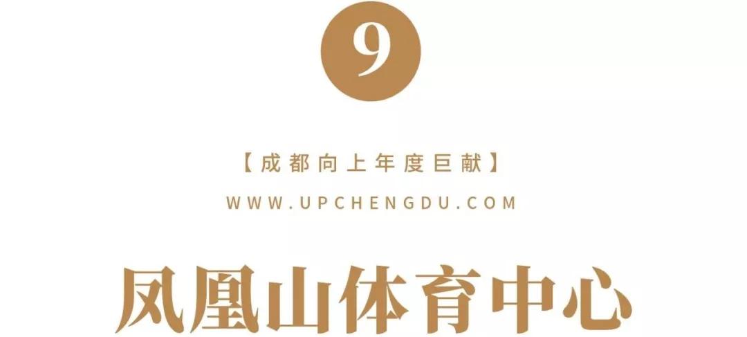 成都2024年火爆项目,巨变前夜智能网联汽车