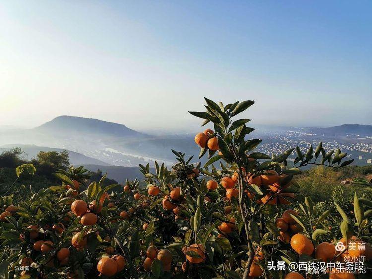 火红6月,汉中城固加开旅游列车