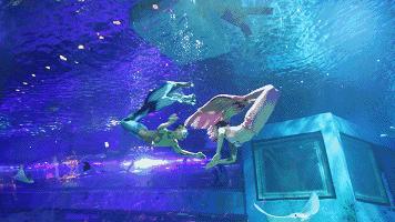 暑假余额已不足该注意什么,暑假余额即将不足