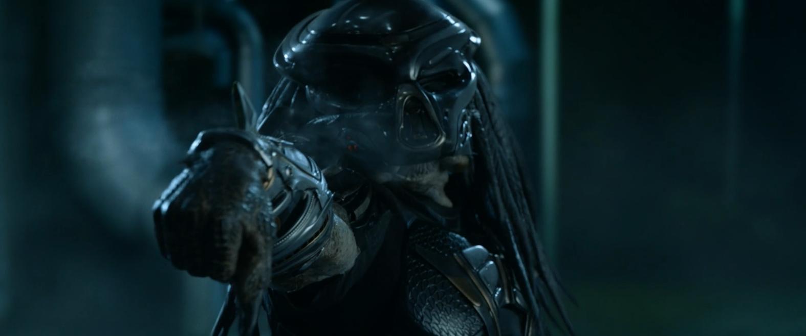 铁血战士系列解析,铁血战士形态全部解析