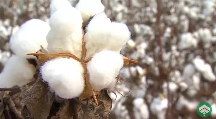 好的生活不必太贵,好的生活没那么贵但要用心