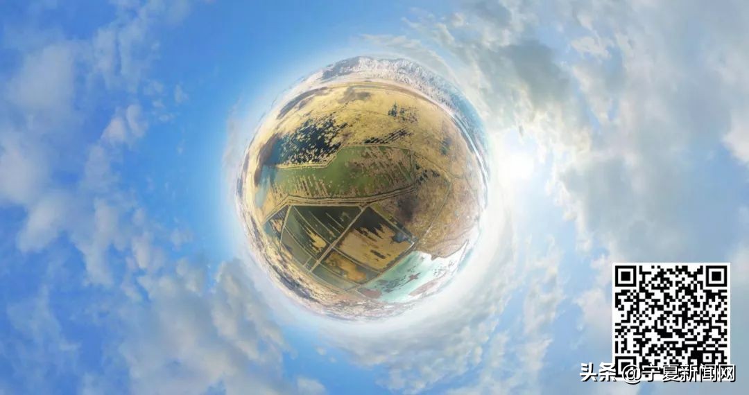 青铜峡鸟岛介绍,青铜峡鸟岛自然保护区能进吗