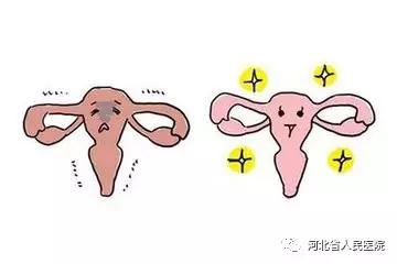 女人的子宫要爱惜,女人的子宫需要用药护理吗