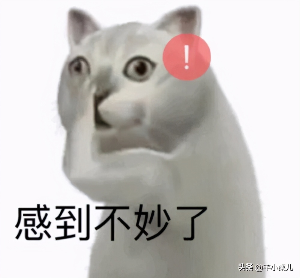 答应我，如果你的*疆新**朋友给你送了馕，请你一定不要这样对待它