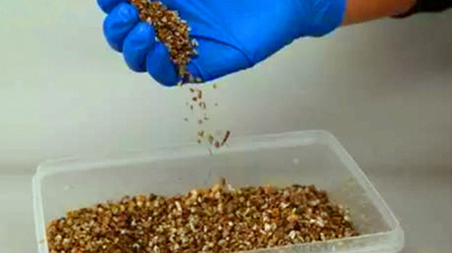 网上买回来的龟蛋怎么给蛭石补水,孵化龟蛋调蛭石湿度最简单的方法