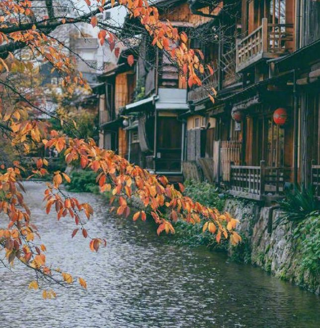 天冷了关心的话暖心短句,天冷了关心朋友的幽默好句子