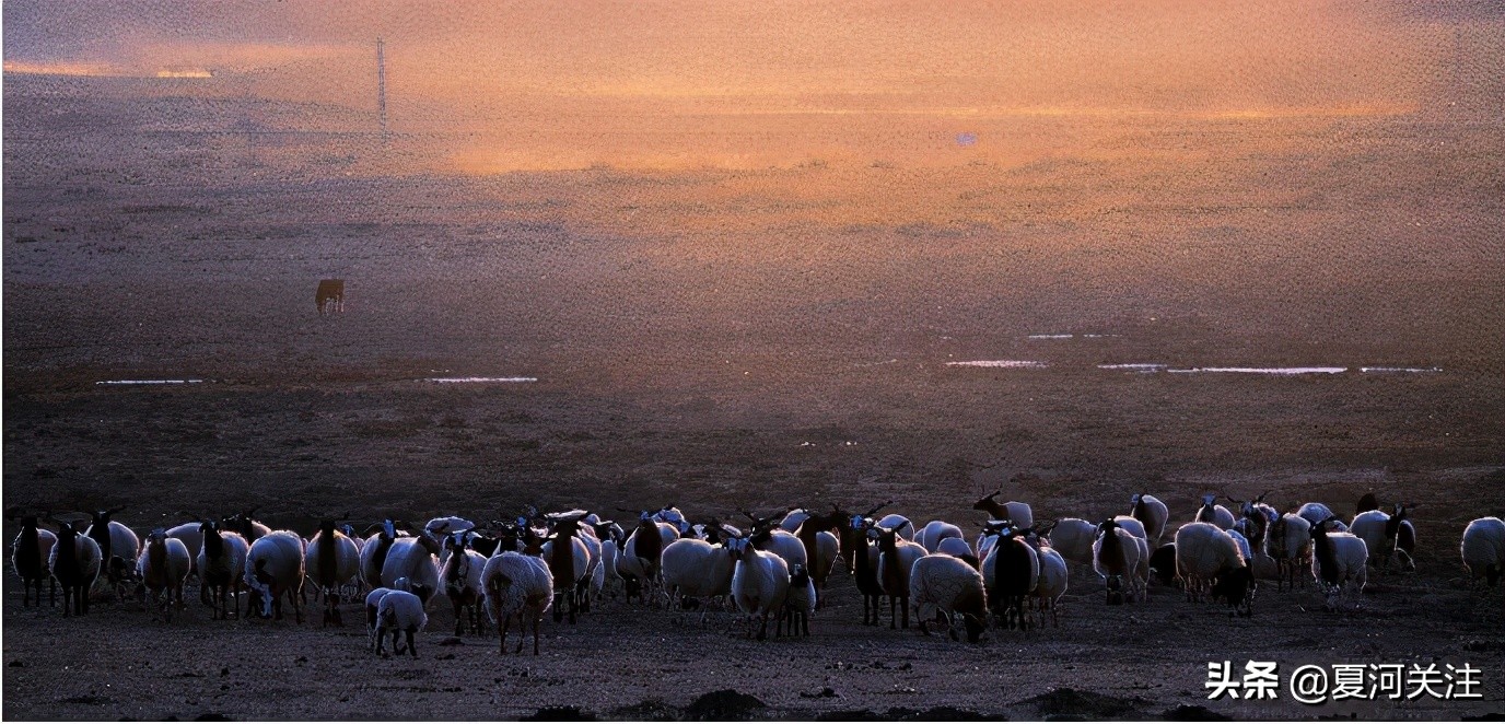 【夏河·拾光】秘境追影