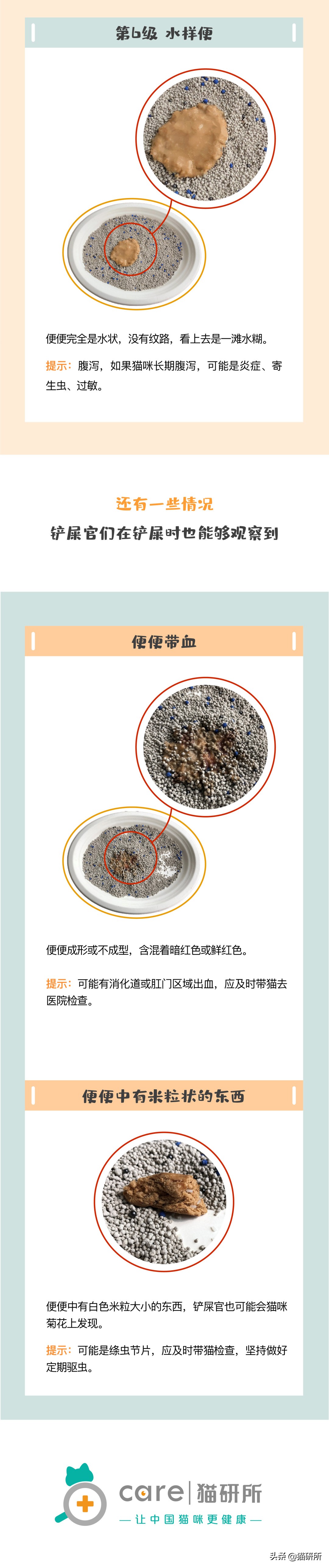 一张图了解猫咪的超能力,一张图看懂猫咪血气分析