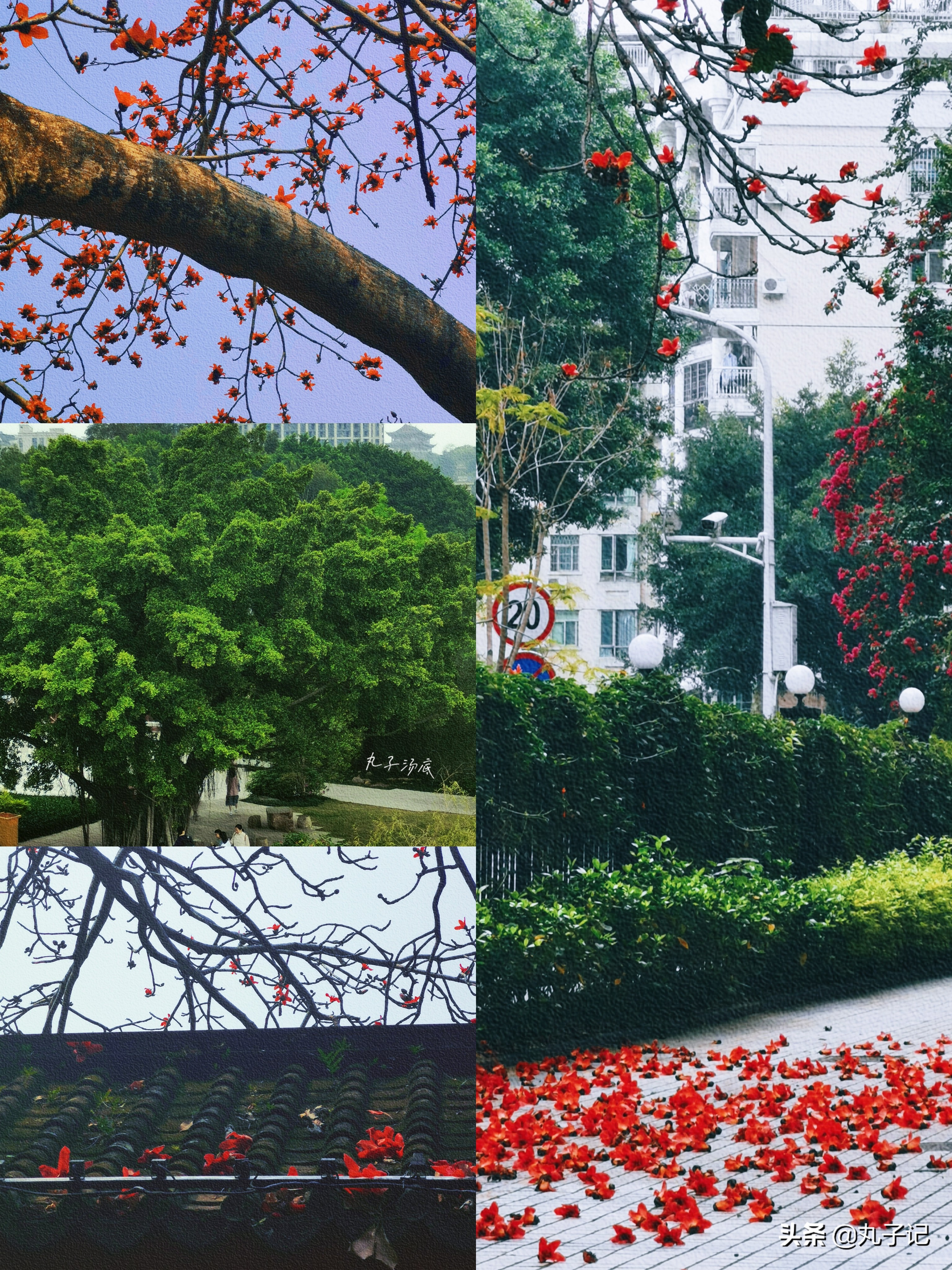 福州三日游一对一,福州旅游两日游攻略完整版