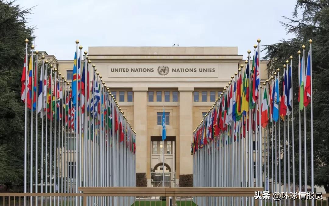 瑞士国际组织有哪些,瑞士日内瓦有什么国际组织