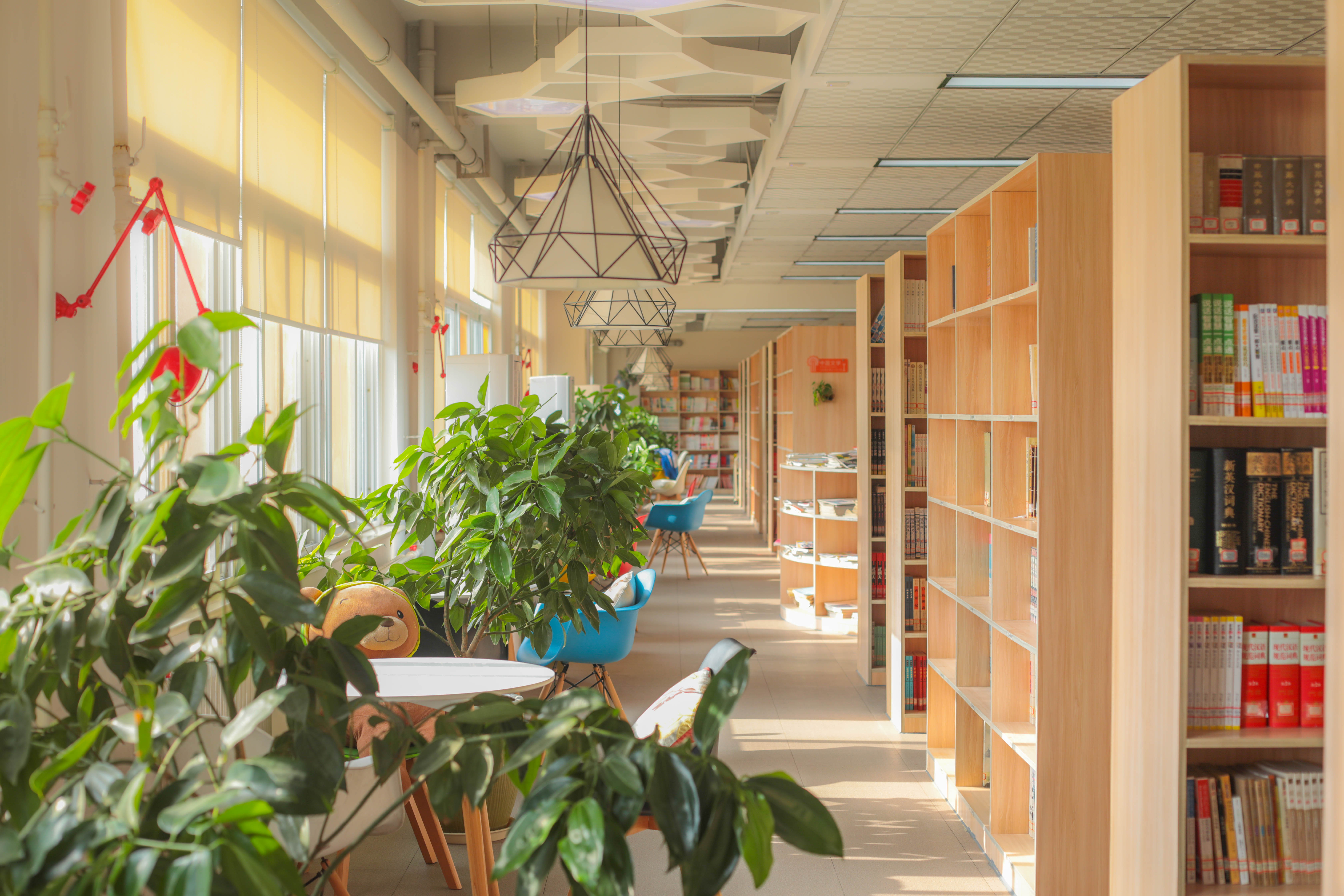 郑州31中和103中中考报名费用,2020年郑州中招录取分数线