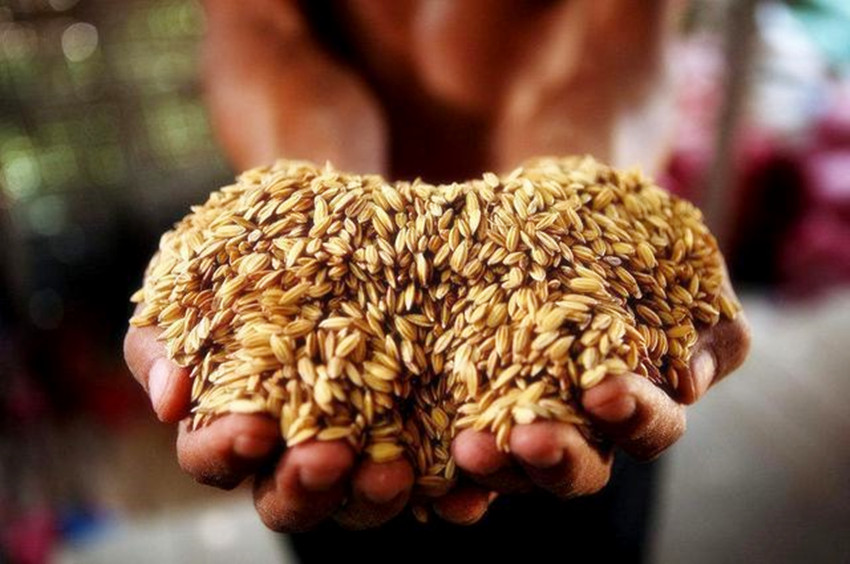 满清入关后，为何能轻松统治汉人几个世纪？他们抓到了汉人的本质