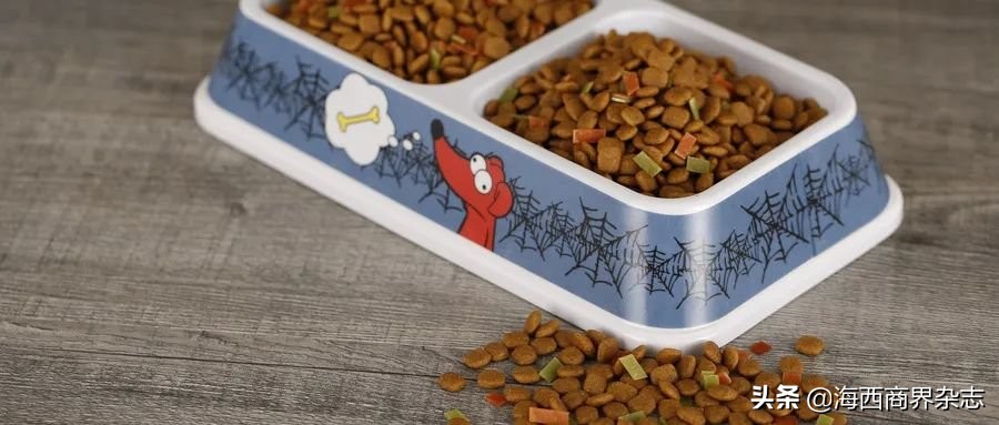 2020年最“吸金”行业：撸猫吸狗，成就千亿消费市场