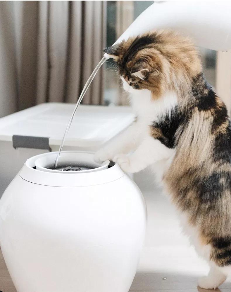 日本黑科技发明厨房,日本发明黑科技棺材车