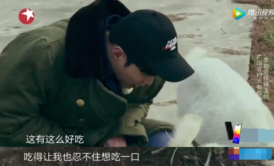 徐璐和吴宣仪,吴宣仪徐璐