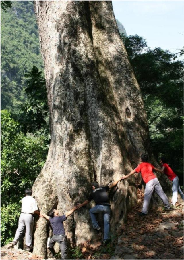 崇左有什么资源,广西崇左风景区有哪些