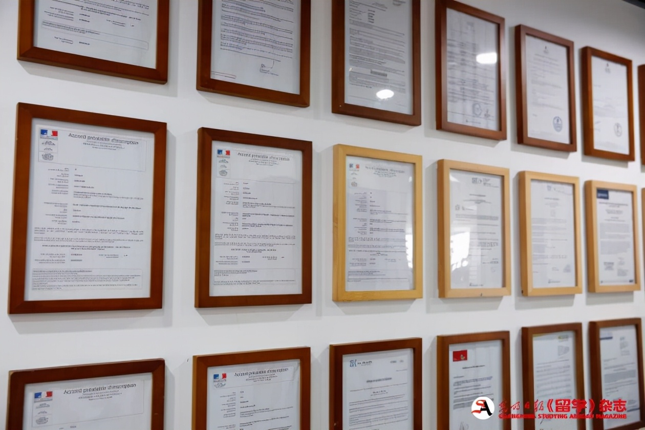 森淼茂溢教育价格,森淼茂溢教育