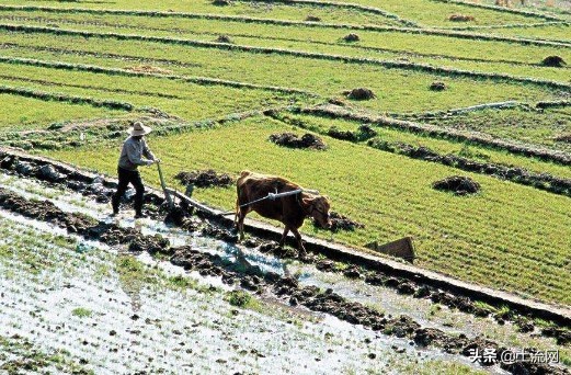 农村耕地占用税最新规定,什么土地不交耕地占用税