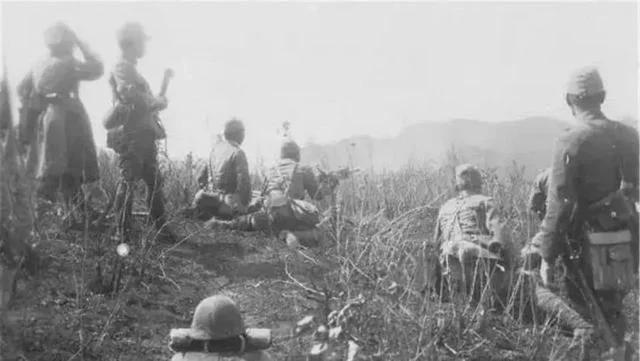 杨靖宇牺牲后视频,杨靖宇牺牲后敌人对他做了什么