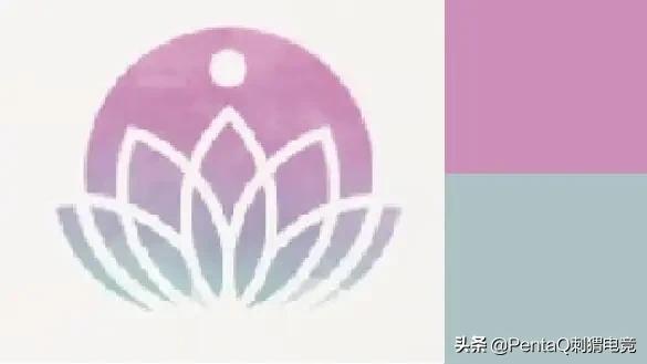 灵魂莲华锤石蠢狸猫,你的调皮小可爱已上线图片