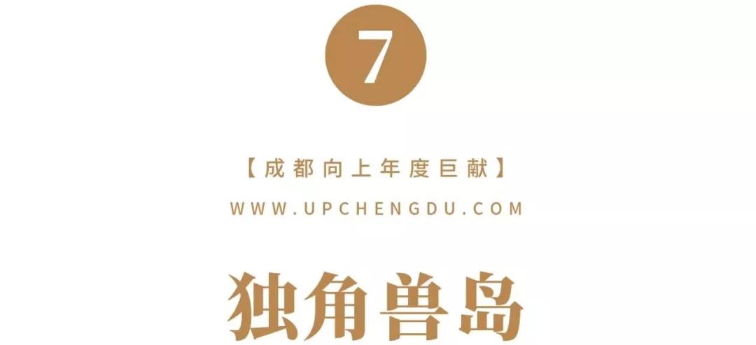 成都2024年火爆项目,巨变前夜智能网联汽车