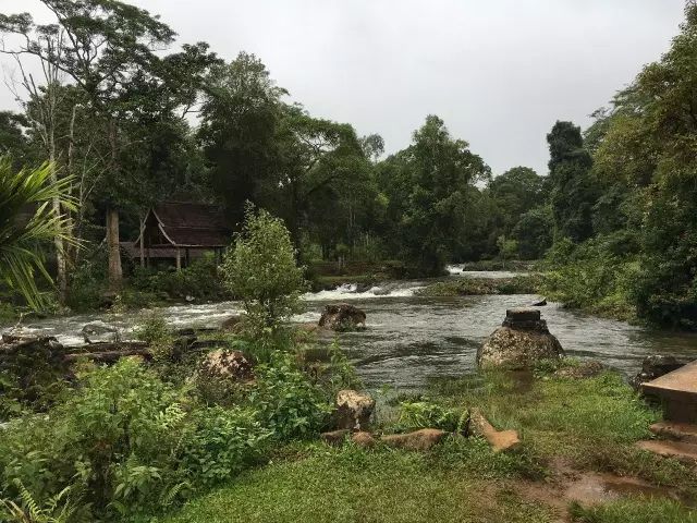 老挝咖啡介绍,最火爆的老挝咖啡