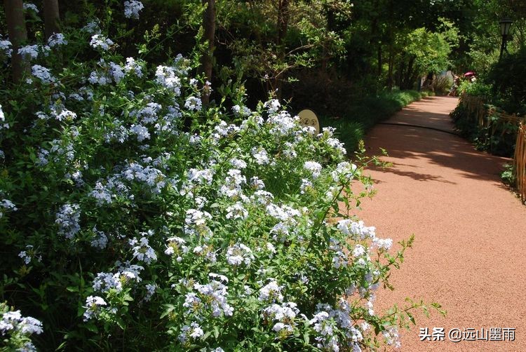 植物科学活动,第二十届公众科学日合肥