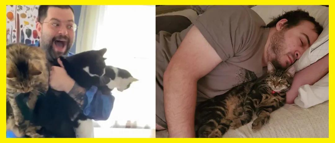 氛围感治愈温柔猫咪图片2张,带有人物与猫咪的温馨治愈图