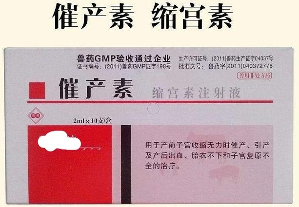 用缩宫素给母猪催奶一天打几次,母猪催奶缩宫素配什么效果好