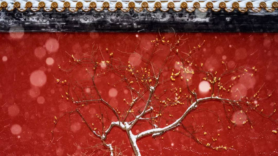 南京历史感沉重的古都,烟水南京