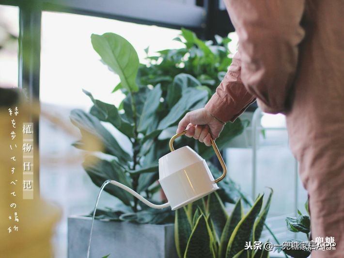 133平复式跃层北欧风设计,北欧复式小户型133平方米