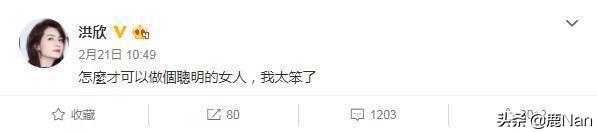 洪欣的个人简介,洪欣以前的情感史