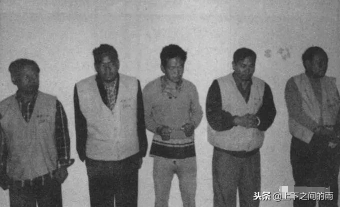 大案纪实豫皖系列杀人抢劫案,豫皖边界系列抢劫杀人案侦破纪实