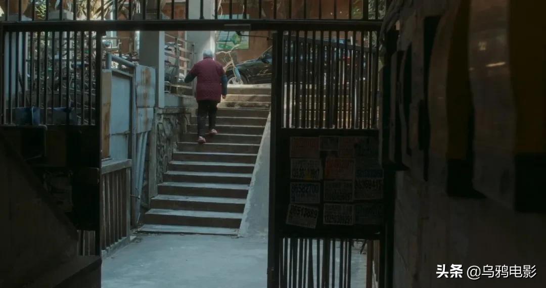 横扫电影节奖项,横扫国际影展