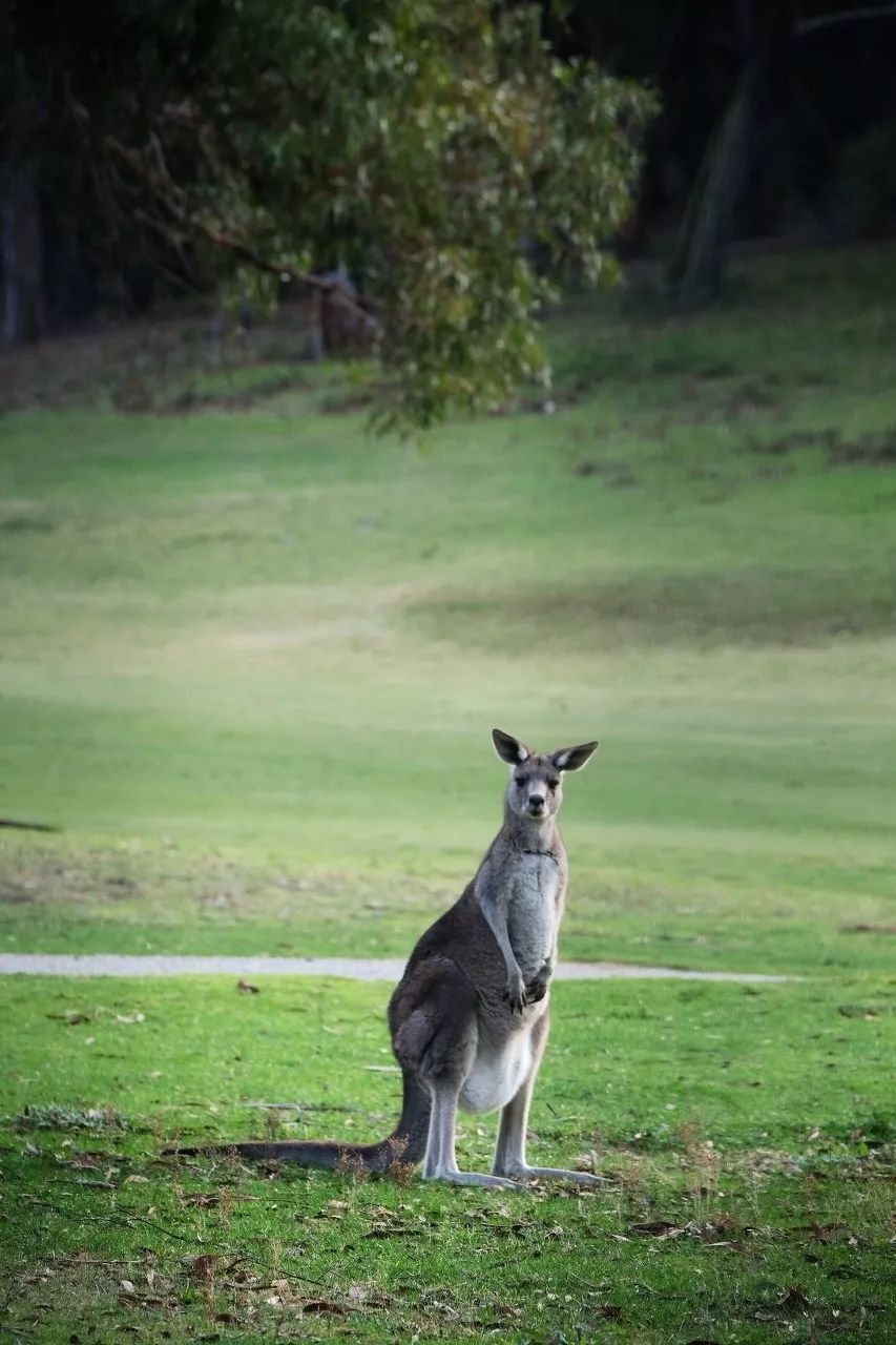 全世界景色最美的十个地方,世界上最美的26个地方你一定要去