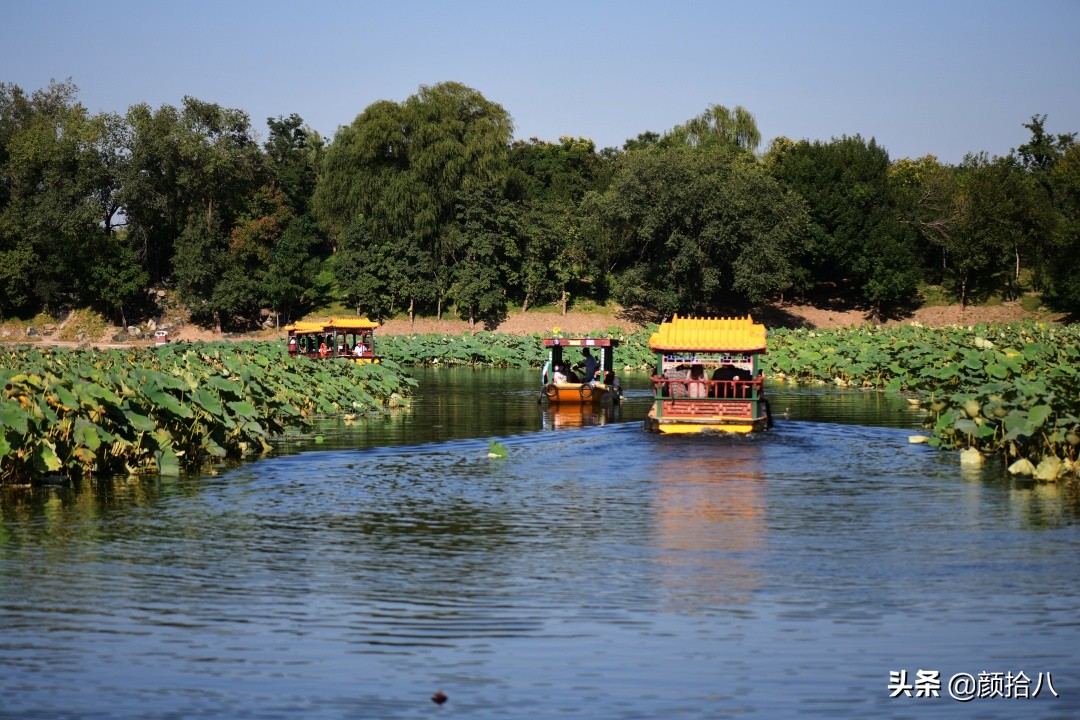 北京圆明园一日游推荐,圆明园秋色如画