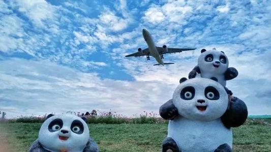 双流空港花田十月份有什么活动,双流空港花田赏花