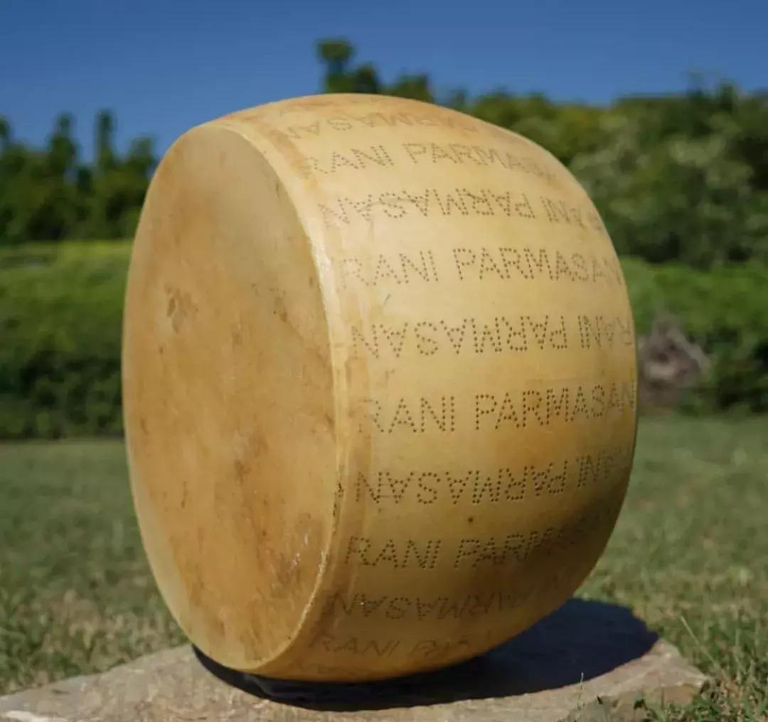 用哪款奶酪做蛋糕最好,做面包用哪款奶油奶酪