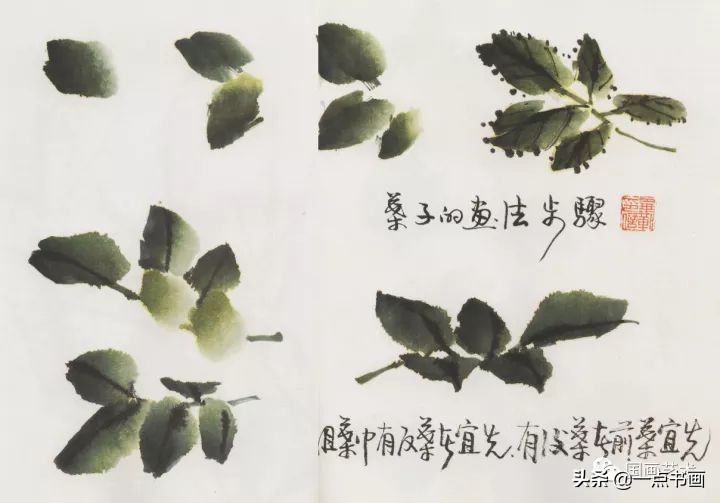 写意花鸟临本——月季画法