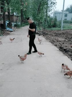 搞笑偷井盖的贼,偷井盖的搞笑图片