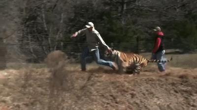 疫情中全美国都在安利这疯子电影