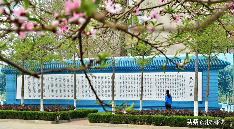 莱州市第一中学简介,采访莱州市第一中学