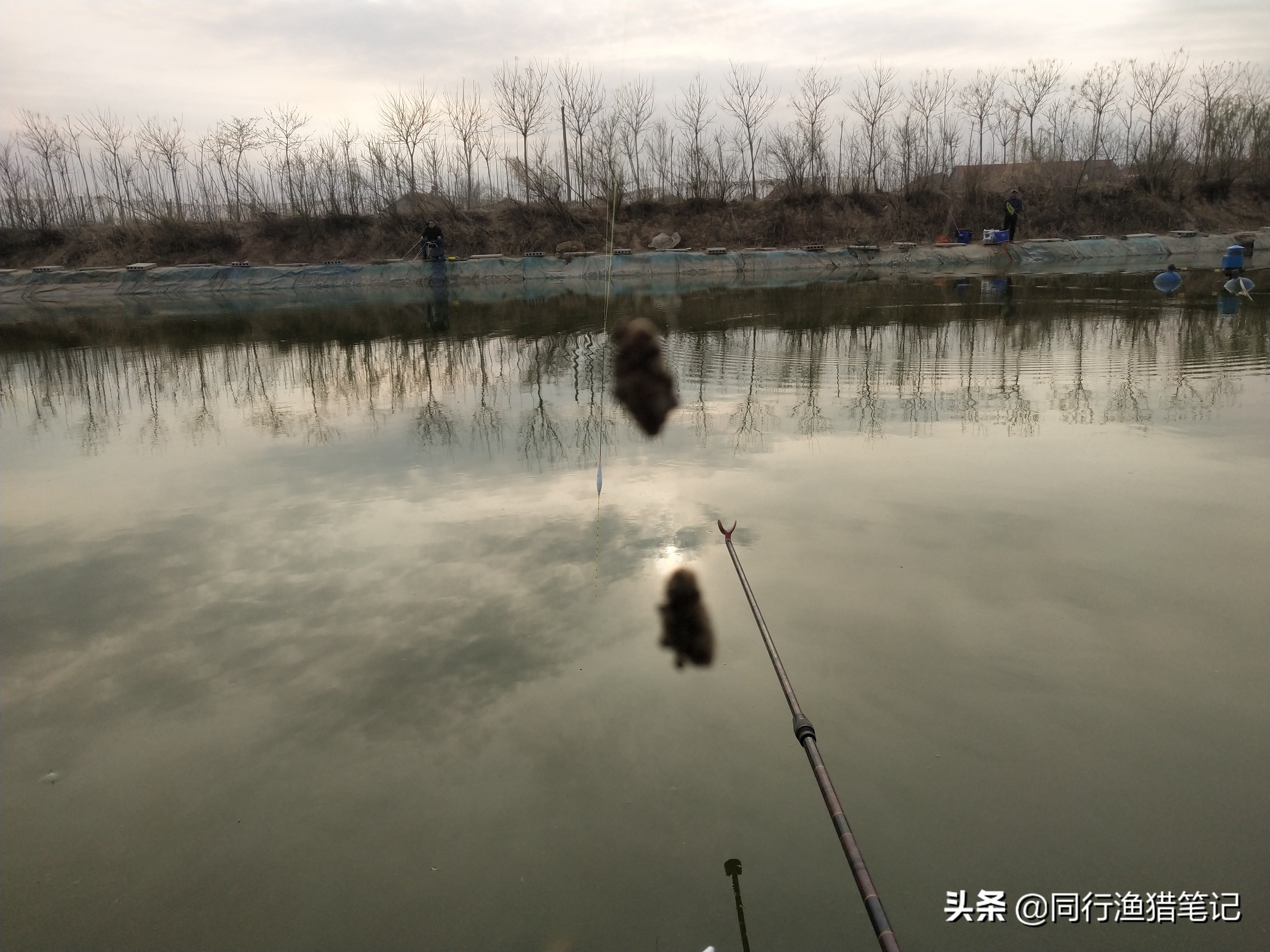 软粘饵的最佳状态,软黏饵的实战用法
