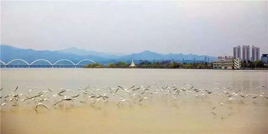 汉台半日游,汉台区一日游