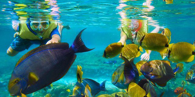 毛里求斯旅游攻略最新完整指南,毛里求斯旅游攻略大全免费