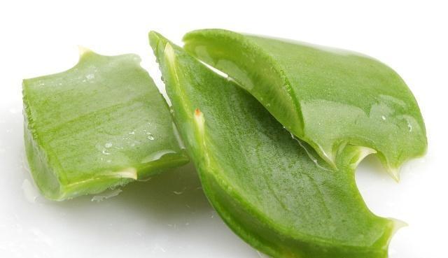 养芦荟怎么修剪好看,夏季养芦荟施什么肥最好最旺