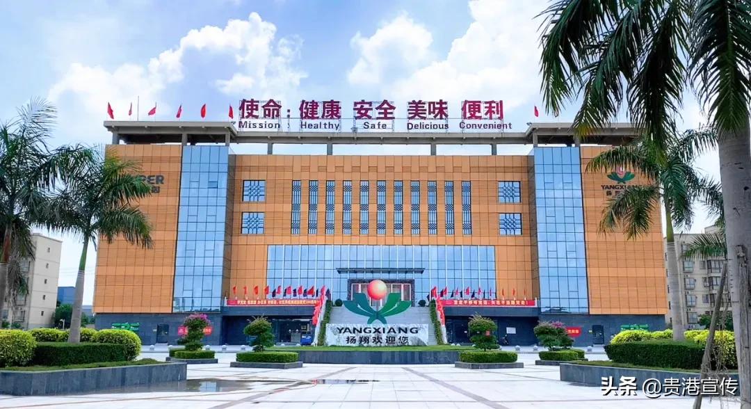 建设扬翔文化凝聚员*力工**量——广西扬翔股份有限公司企业文化建设综述