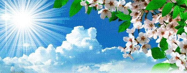 青春痘痘印怎样去除,如何有效的祛除痘印黑色和红色的